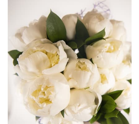 Bouquet of 12 peonies