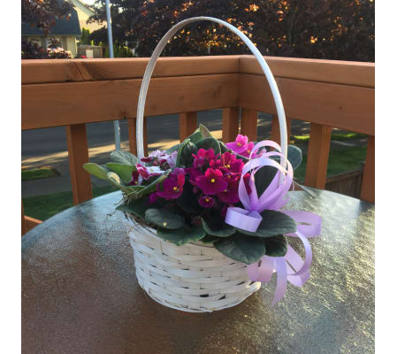 Violet Basket