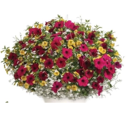 Fiber Hanging Basket