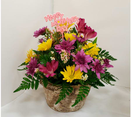 Mother's Day Birch Basket