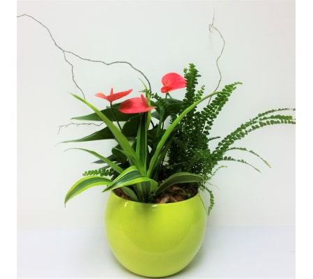 Posh Planter