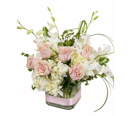 Baby Girl Modern Cube