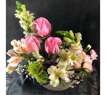 Gladstone Floral