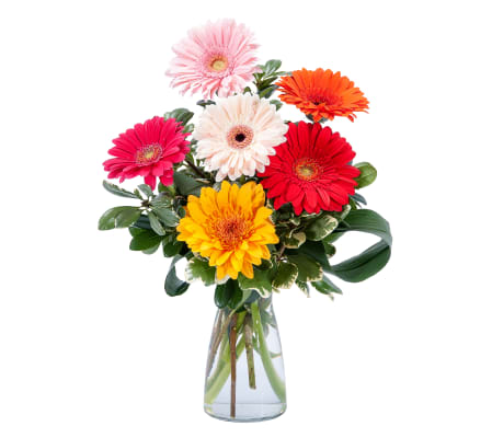 Colorful! by Country Gardens