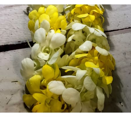 Orchid Lei Yellow and White Double