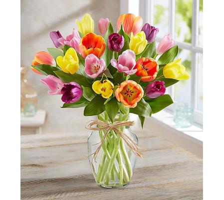 Flowerama Timeless Tulips