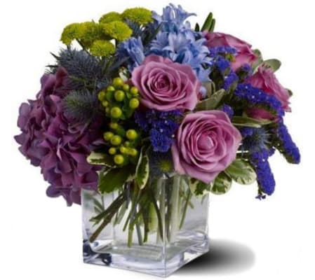 A Passion for Purple (& Blue & Green)