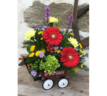 Baby Girl's First Wagon - by Rothe's