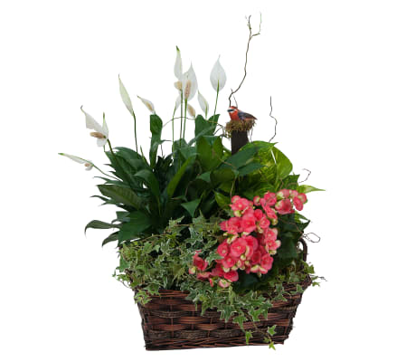 Living Blooming Garden Basket by Country Garden