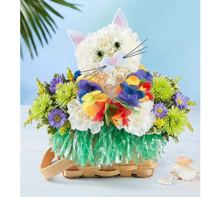 LUAU KITTY