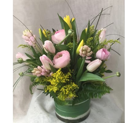 Spring Hug