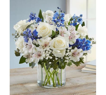 BLUE AND WHITE WONDERFUL WISHES