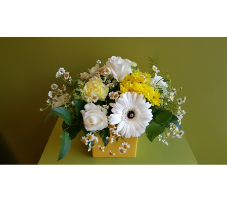 Smart Delightful Daisy