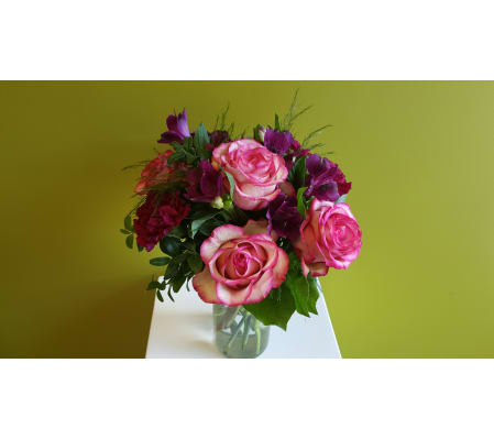 Smart Fuschia Cuteness
