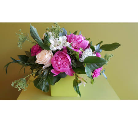 Smart Garden Pinks