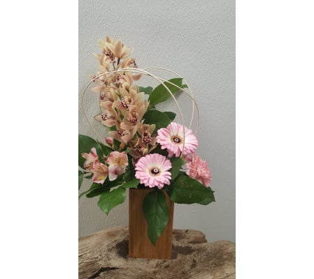 Smart Orchid Dream