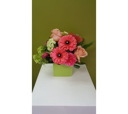 Smart Summer Corals