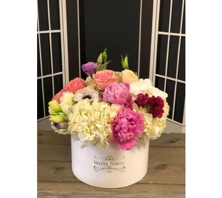 Spring Time in Marseille