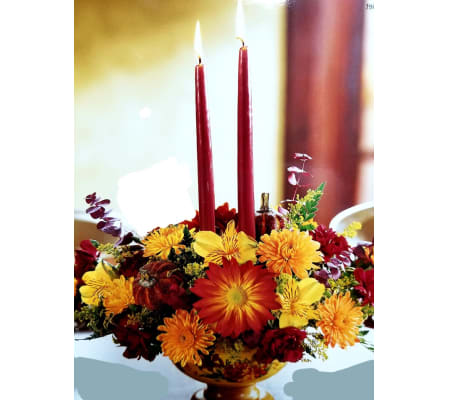Vintage Autumn Splendor