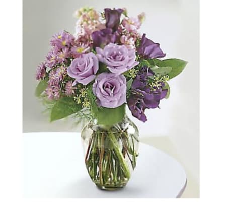 Lavender Kiss