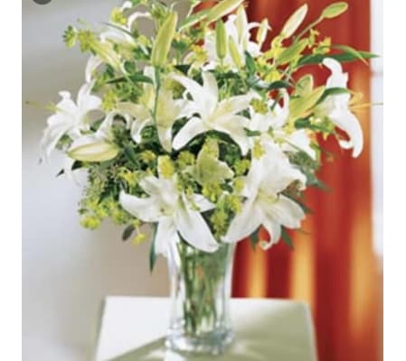 White Lily Elegance