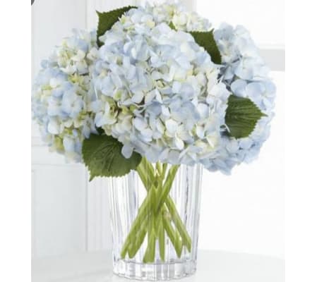 Vera Wang Inspirations