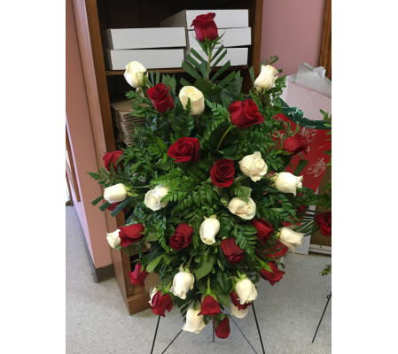 White and Red Rose Elegance