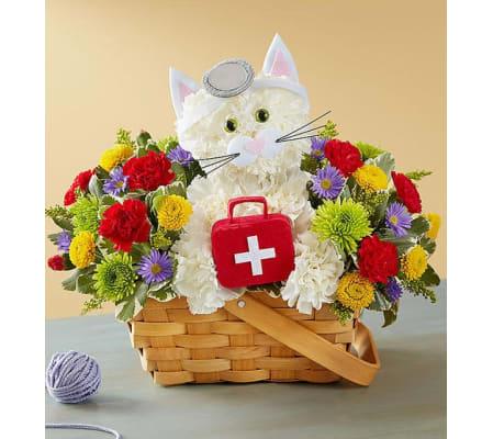 All Kitty Cure