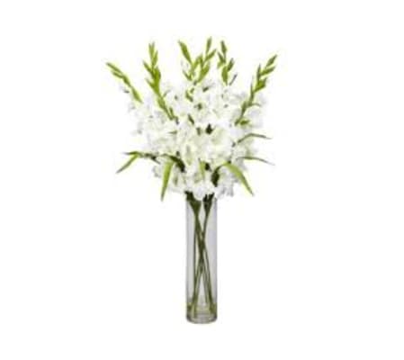 Gracious Gladiolas