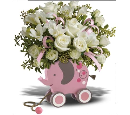 Baby Elephant Girl