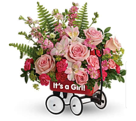 Baby Girl Firts Wagon
