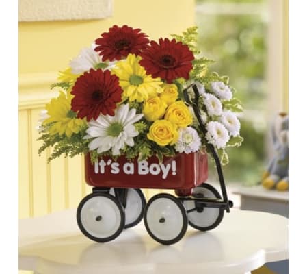 Baby Boy Red Wagon