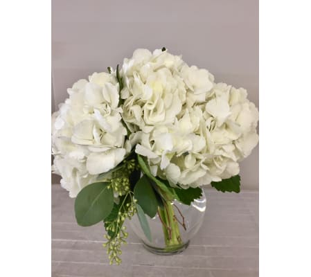 Simply Hydrangeas