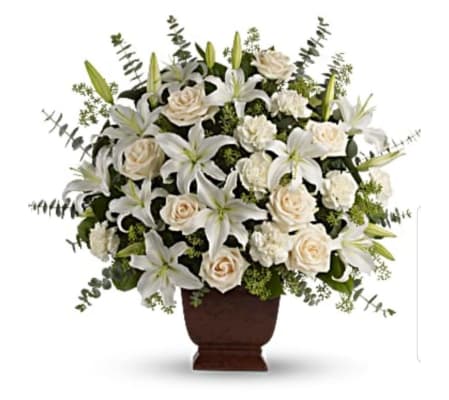 Noble Heritage Lily Tribute