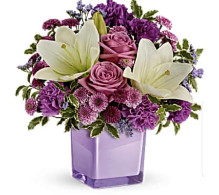 Pleasant Purple