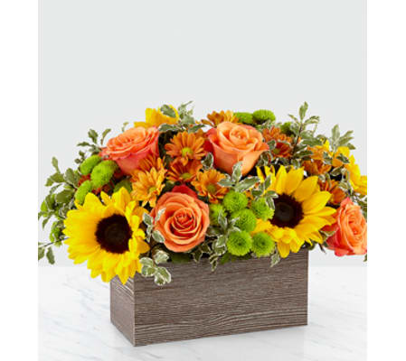 The FTD Happy Harvest Garden