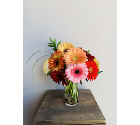 Seize the Daisies