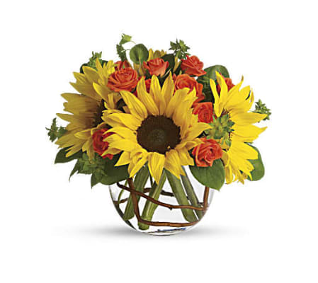 Sunny Sunflower Day