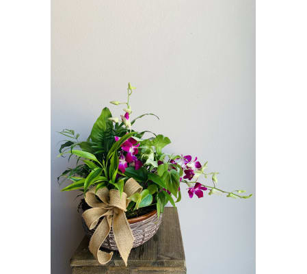 Sweet Planter