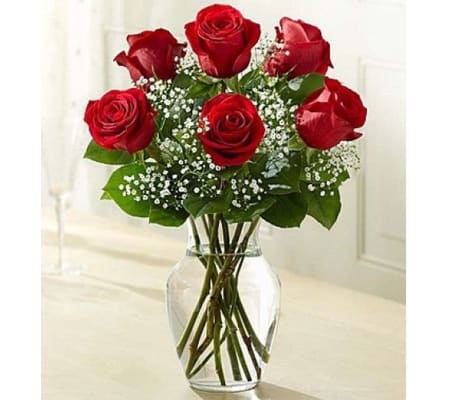 1/2 DOZEN RED ROSES IN VASE WITH GREENS AND FILLER
