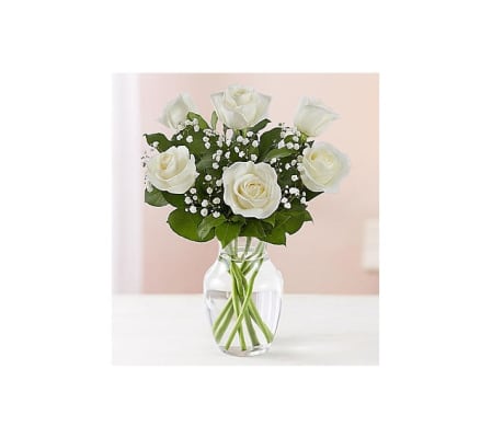 1/2 DOZEN WHITE ROSES IN VASE WITH GREENS AND FILLER