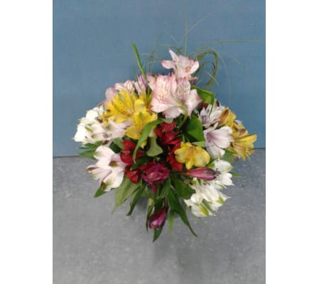 Bear Grass Love