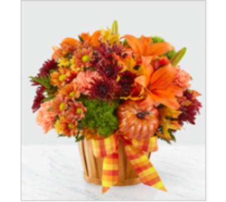 CELEBATE AUTUMN