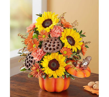 PUMPKINS and FALL
