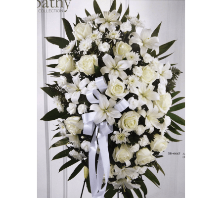 PURE ELEGANCE SPRAY /WHITE