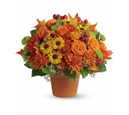 Sweet Autumn Pot