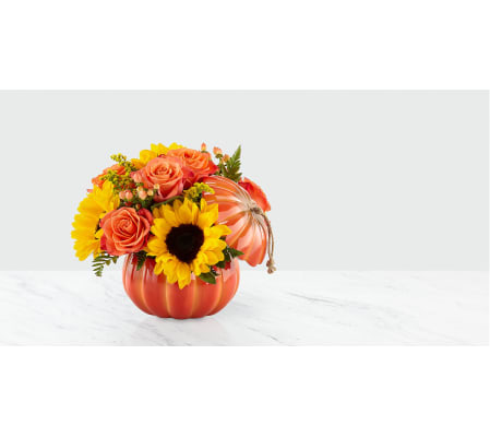 HARVEST PUMPKIN'S