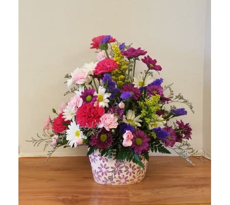 Daisies In Bloom