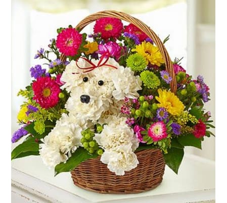 Puppy in a basket