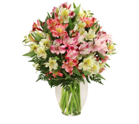 Alluring Alstroemeria Arrangement - FSN